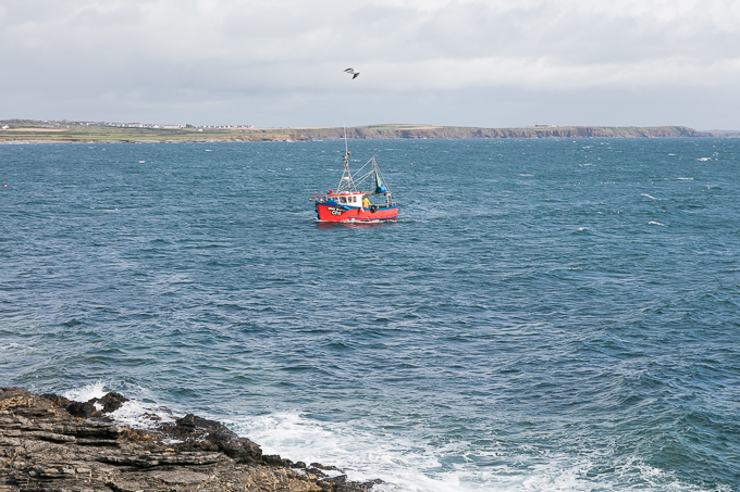 Ireland Sept 2016 (04)
